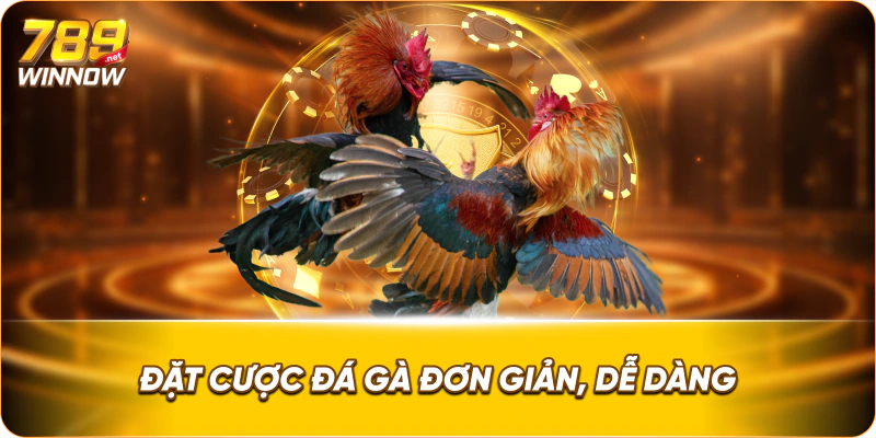 Đặt cược đá gà đơn giản, dễ dàng