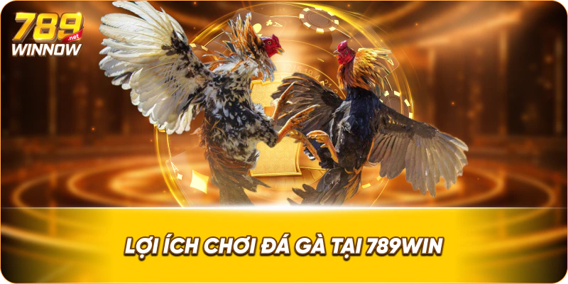 Lợi ích chơi đá gà tại 789win