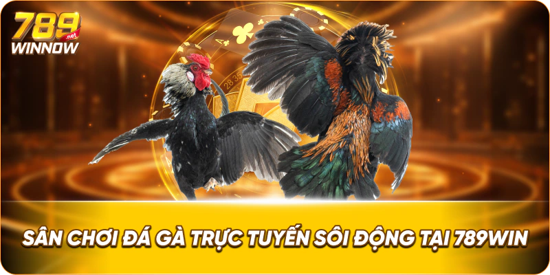 Sân chơi đá gà trực tuyến sôi động tại 789win