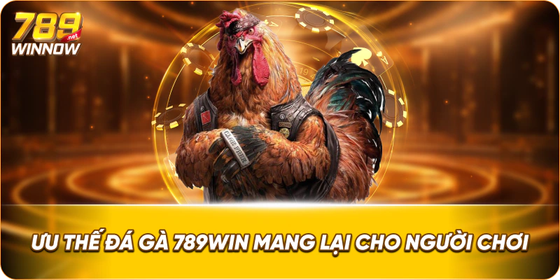 Ưu thế đá gà 789win mang lại cho người chơi