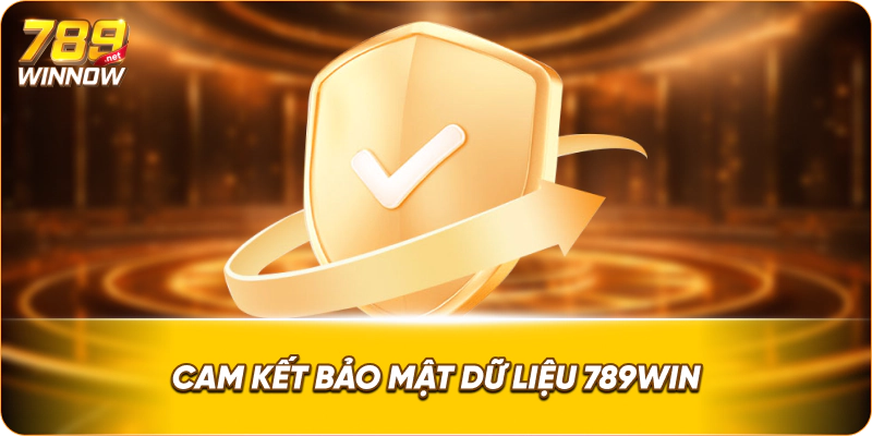 Cam kết bảo mật dữ liệu 789win